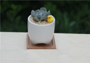 Pota Flower Le Tráidire Bambú